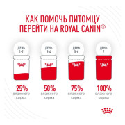 Royal Canin Hair&Skin Care корм влажный для кошек для поддержания здоровья кожи и красоты шерсти, кусочки в соусе