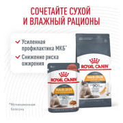 Royal Canin Hair&Skin Care корм влажный для кошек для поддержания здоровья кожи и красоты шерсти, кусочки в соусе