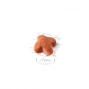 Royal Canin Jack Russell Terrier Adult корм для собак пород Джек Рассел Терьер