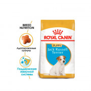 Royal Canin Jack Russell Terrier Puppy корм для собак породы Джек Рассел Терьер