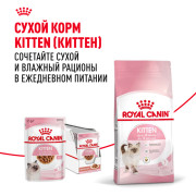 Royal Canin Kitten Корм консервированный специально для котят в период второй фазы роста до 12 месяцев, соус