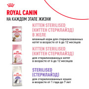 Royal Canin Kitten Корм консервированный специально для котят в период второй фазы роста до 12 месяцев, соус