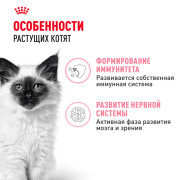 Royal Canin Kitten Корм консервированный специально для котят в период второй фазы роста до 12 месяцев, соус