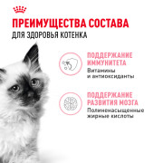 Royal Canin Kitten Корм консервированный специально для котят в период второй фазы роста до 12 месяцев, соус
