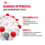 Royal Canin Kitten Корм консервированный специально для котят в период второй фазы роста до 12 месяцев, соус