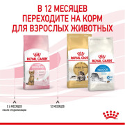 Royal Canin Kitten Sterilised корм для стерилизованных котят