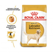 Royal Canin Labrador Retriever Корм сухой для взрослых собак породы Лабрадор Ретривер от 15 месяцев