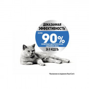 Royal Canin Light Weight Care корм для кошек, склонных к полноте