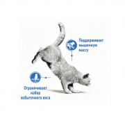 Royal Canin Light Weight Care корм для кошек, склонных к полноте