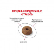 Royal Canin Light Weight Care корм для кошек, склонных к полноте