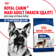 Royal Canin Maxi Adult Корм сухой для взрослых собак крупных размеров от 15 месяцев