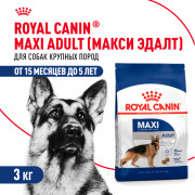 Royal Canin Maxi Adult Корм сухой для взрослых собак крупных размеров от 15 месяцев