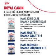 Royal Canin Maxi Adult Корм сухой для взрослых собак крупных размеров от 15 месяцев