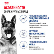 Royal Canin Maxi Adult Корм сухой для взрослых собак крупных размеров от 15 месяцев
