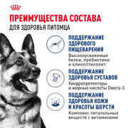 Royal Canin Maxi Adult Корм сухой для взрослых собак крупных размеров от 15 месяцев