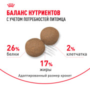 Royal Canin Maxi Adult Корм сухой для взрослых собак крупных размеров от 15 месяцев