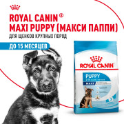 Royal Canin Maxi Puppy Корм сухой для щенков крупных размеров в возрасте до 15 месяцев