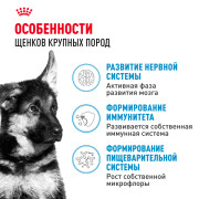 Royal Canin Maxi Puppy Корм сухой для щенков крупных размеров в возрасте до 15 месяцев