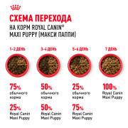 Royal Canin Maxi Puppy Корм сухой для щенков крупных размеров в возрасте до 15 месяцев