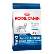 Royal Canin Maxi Junior Active корм для щенков крупных пород с высокими энергетическими потребностями
