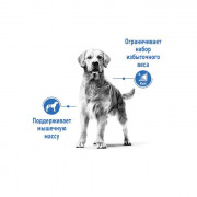 Royal Canin Maxi Light Weight Care корм для собак крупных пород склонных к полноте