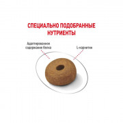 Royal Canin Maxi Light Weight Care корм для собак крупных пород склонных к полноте
