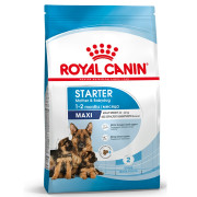 Royal Canin Maxi Starter Mother & Babydog Корм для щенков крупных пород до 2-х месяцев, беременных и кормящих сук