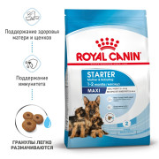 Royal Canin Maxi Starter Mother & Babydog Корм для щенков крупных пород до 2-х месяцев, беременных и кормящих сук