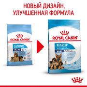 Royal Canin Maxi Starter Mother & Babydog Корм для щенков крупных пород до 2-х месяцев, беременных и кормящих сук