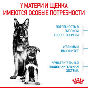 Royal Canin Maxi Starter Mother & Babydog Корм для щенков крупных пород до 2-х месяцев, беременных и кормящих сук