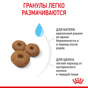 Royal Canin Maxi Starter Mother & Babydog Корм для щенков крупных пород до 2-х месяцев, беременных и кормящих сук