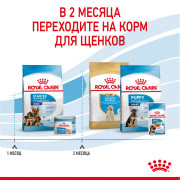 Royal Canin Maxi Starter Mother & Babydog Корм для щенков крупных пород до 2-х месяцев, беременных и кормящих сук