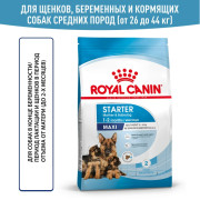 Royal Canin Maxi Starter Mother & Babydog Корм для щенков крупных пород до 2-х месяцев, беременных и кормящих сук