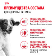 Royal Canin Medium Adult Корм сухой для взрослых собак средних размеров от 12 месяцев