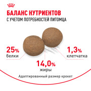 Royal Canin Medium Adult Корм сухой для взрослых собак средних размеров от 12 месяцев
