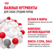 Royal Canin Medium Adult Корм сухой для взрослых собак средних размеров от 12 месяцев