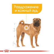 Royal Canin Medium Dermacomfort Корм сухой для взрослых собак средних размеров при раздражениях и зуде кожи