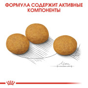 Royal Canin Medium Dermacomfort Корм сухой для взрослых собак средних размеров при раздражениях и зуде кожи