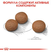 Royal Canin Medium Digestive Care Корм сухой для взрослых собак средних пород с чувствительным пищеварением