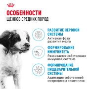 Royal Canin Medium Puppy Корм сухой для щенков средних размеров до 12 месяцев