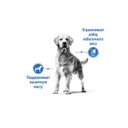 Royal Canin Medium Light Weight Care корм для собак средних пород склонных к полноте