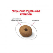 Royal Canin Medium Light Weight Care корм для собак средних пород склонных к полноте