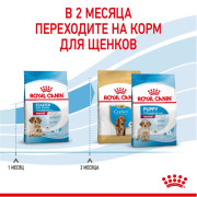 Royal Canin Medium Starter Mother & Babydog Корм для щенков средних размеров до 2-х месяцев, беременных и кормящих сук