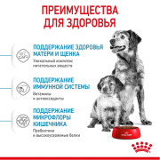 Royal Canin Medium Starter Mother & Babydog Корм для щенков средних размеров до 2-х месяцев, беременных и кормящих сук