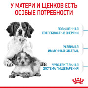 Royal Canin Medium Starter Mother & Babydog Корм для щенков средних размеров до 2-х месяцев, беременных и кормящих сук