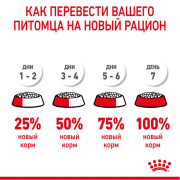 Royal Canin Medium Starter Mother & Babydog Корм для щенков средних размеров до 2-х месяцев, беременных и кормящих сук