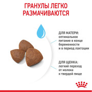 Royal Canin Medium Starter Mother & Babydog Корм для щенков средних размеров до 2-х месяцев, беременных и кормящих сук
