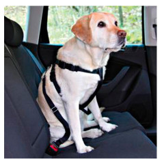 Trixie автомобильный ремень безопасности для собак 80-100см