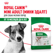 Royal Canin Mini Adult Корм сухой для взрослых собак мелких размеров от 10 месяцев