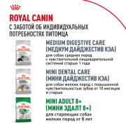 Royal Canin Mini Adult Корм сухой для взрослых собак мелких размеров от 10 месяцев